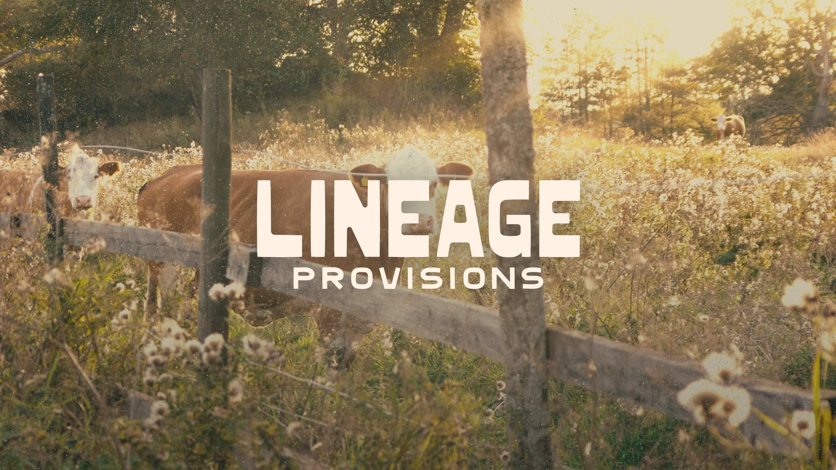 The Lineage Provisions logo over a pasture at golden hour