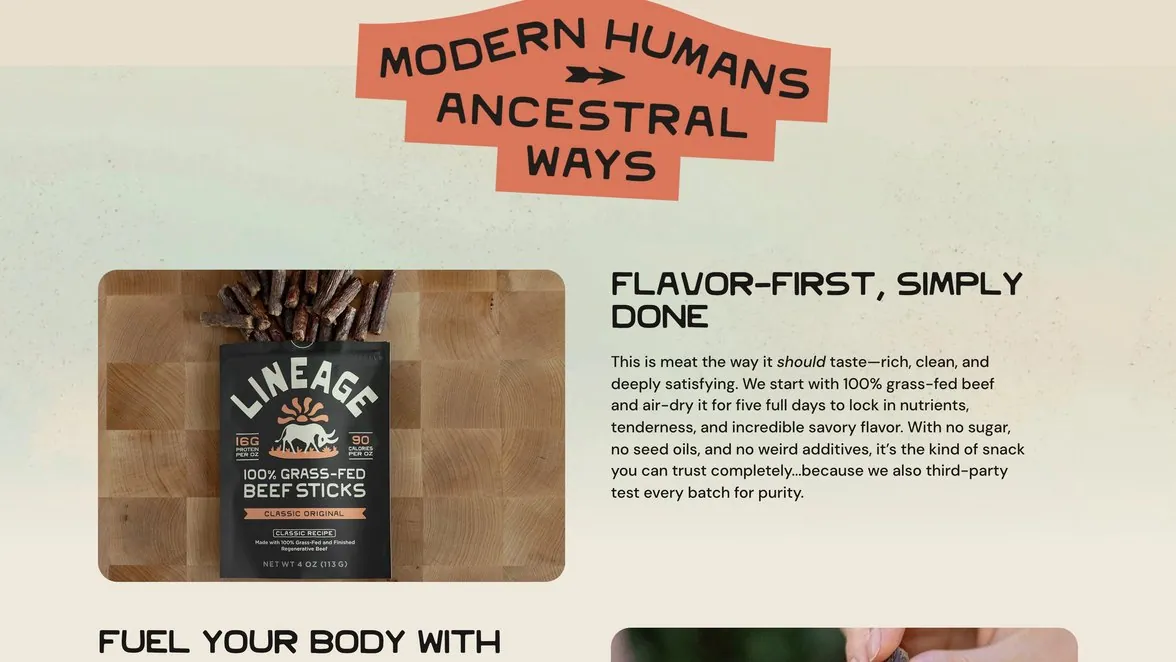 Modern Humans story block