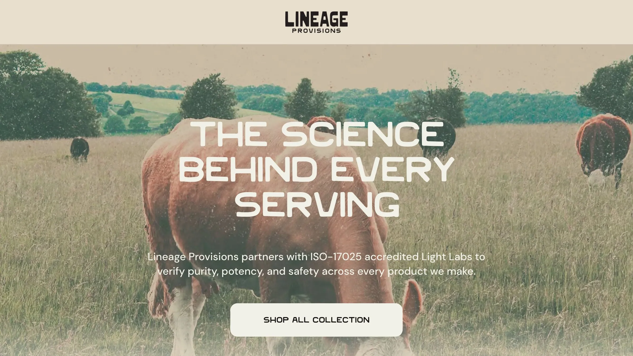 Lineage × Light Labs testing page hero